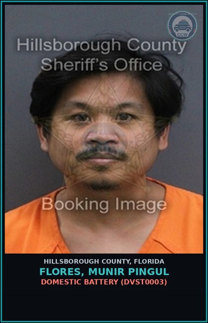 CCW arrest card for FLORES, MUNIR PINGUL in Hillsborough County: DOMESTIC BATTERY (DVST0003)