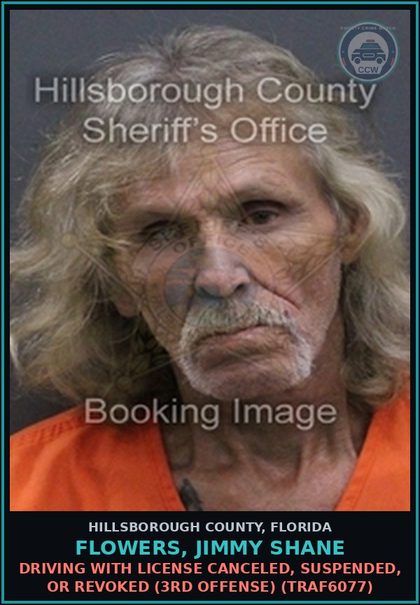 CCW arrest card for FLOWERS, JIMMY SHANE in Hillsborough County: DRIVING WITH LICENSE CANCELED, SUSPENDED, OR REVOKED (3RD OFFENSE) (TRAF6077)