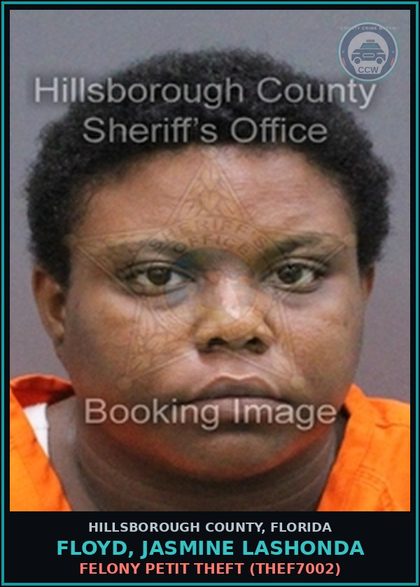 CCW arrest card for FLOYD, JASMINE LASHONDA in Hillsborough County: FELONY PETIT THEFT (THEF7002)