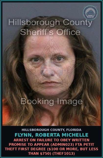 CCW arrest card for FLYNN, ROBERTA MICHELLE in Hillsborough County: ARREST ON FAILURE TO OBEY WRITTEN PROMISE TO APPEAR (ADMIN023) FTA PETIT THEFT FIRST DEGREE ($100 OR MORE, BUT LESS THAN $750) (THEF1013)