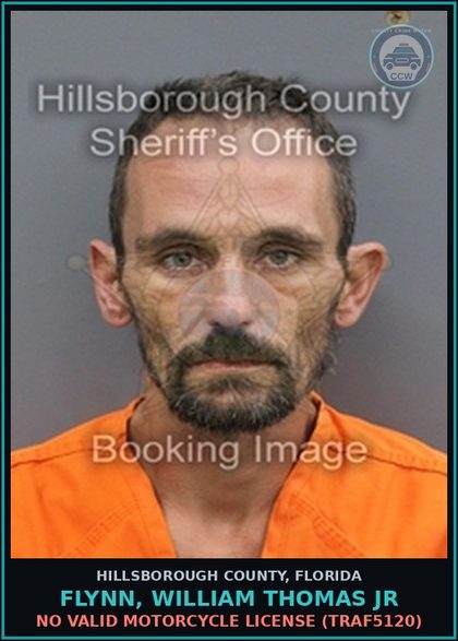 CCW arrest card for FLYNN, WILLIAM THOMAS JR in Hillsborough County: NO VALID MOTORCYCLE LICENSE (TRAF5120)