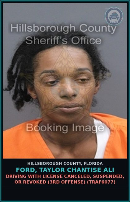 CCW arrest card for FORD, TAYLOR CHANTISE ALI in Hillsborough County: DRIVING WITH LICENSE CANCELED, SUSPENDED, OR REVOKED (3RD OFFENSE) (TRAF6077)