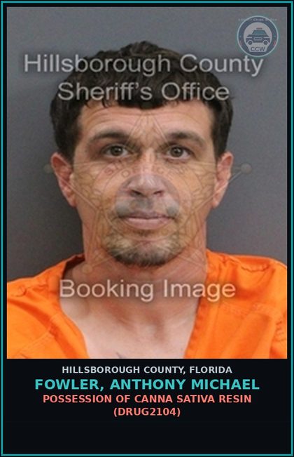 CCW arrest card for FOWLER, ANTHONY MICHAEL in Hillsborough County: DRIVING WITH LICENSE CANCELED, SUSPENDED, OR REVOKED (3RD OFFENSE) (TRAF6077)