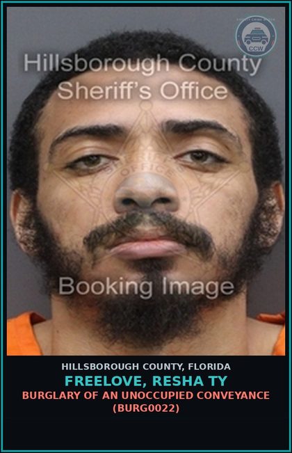 CCW arrest card for FREELOVE, RESHA TY in Hillsborough County: GRAND THEFT MOTOR VEHICLE (THEF2201)