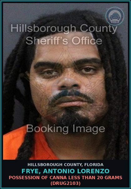 CCW arrest card for FRYE, ANTONIO LORENZO in Hillsborough County: POSSESSION OF Canna LESS THAN 20 GRAMS (DRUG2103)