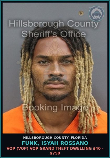 CCW arrest card for FUNK, ISYAH ROSSANO in Hillsborough County: VOP (VOP) VOP GRAND THEFT DWELLING $40 - $750