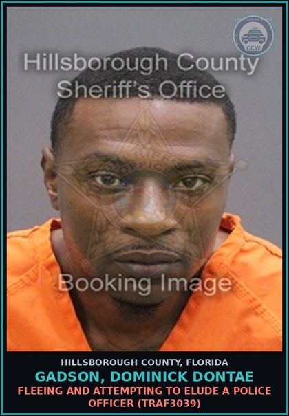 CCW arrest card for GADSON, DOMINICK DONTAE in Hillsborough County: FLEEING AND ATTEMPTING TO ELUDE A POLICE OFFICER (TRAF3039)