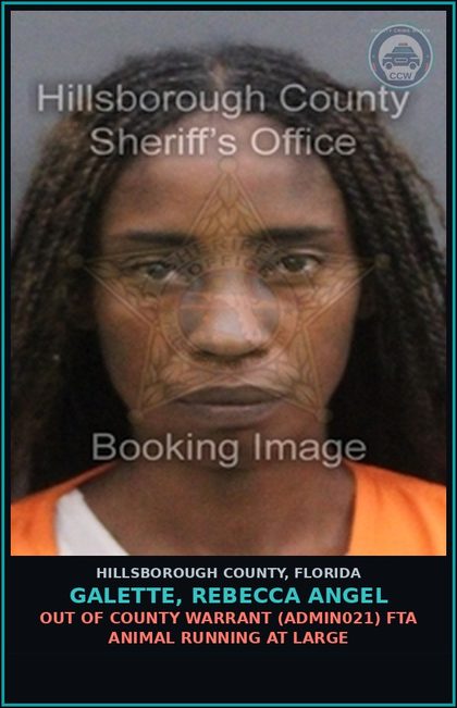 CCW arrest card for GALETTE, REBECCA ANGEL in Hillsborough County: OUT OF COUNTY WARRANT (ADMIN021) FTA ANIMAL RUNNING AT LARGE