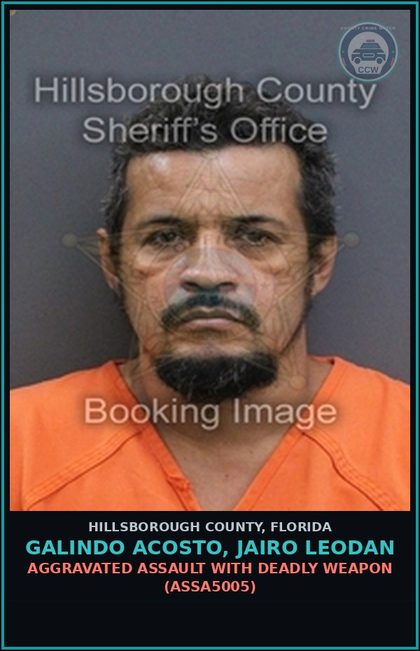 CCW arrest card for GALINDO ACOSTO, JAIRO LEODAN in Hillsborough County: AGGRAVATED ASSAULT WITH DEADLY WEAPON (ASSA5005)