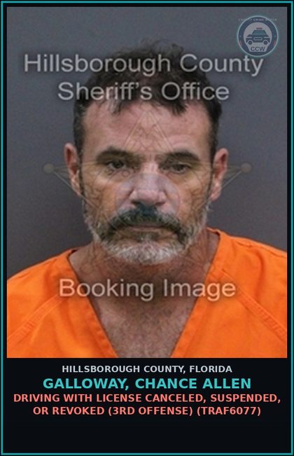 CCW arrest card for GALLOWAY, CHANCE ALLEN in Hillsborough County: DRIVING WITH LICENSE CANCELED, SUSPENDED, OR REVOKED (3RD OFFENSE) (TRAF6077)