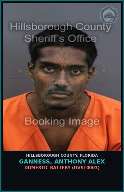 CCW arrest card for GANNESS, ANTHONY ALEX in Hillsborough County: DOMESTIC BATTERY (DVST0003)