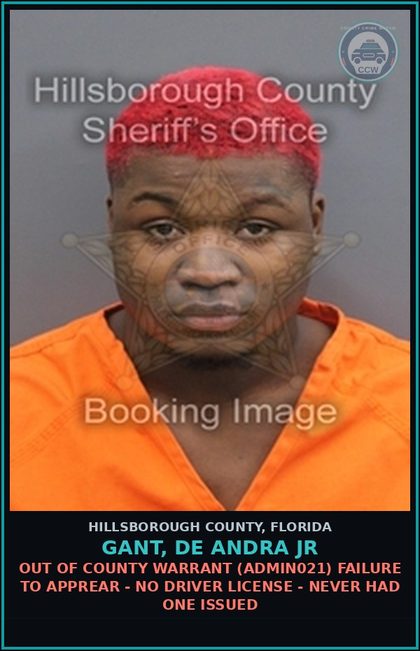 CCW arrest card for GANT, DE ANDRA JR in Hillsborough County: OUT OF COUNTY WARRANT (ADMIN021) FAILURE TO APPREAR - NO DRIVER LICENSE - NEVER HAD ONE ISSUED