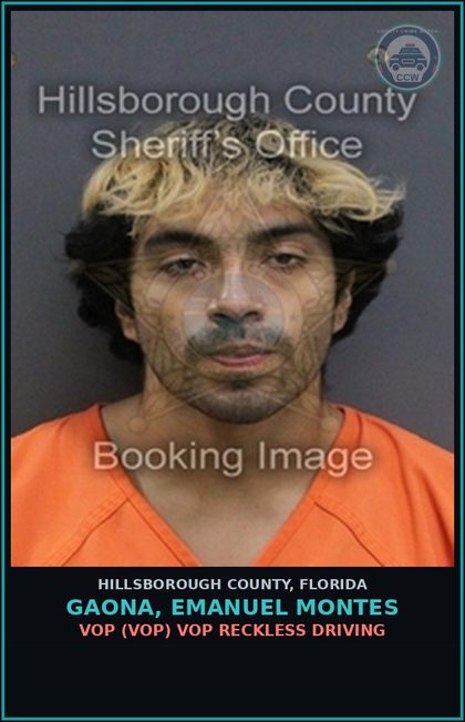 CCW arrest card for GAONA, EMANUEL MONTES in Hillsborough County: VOP (VOP) VOP RECKLESS DRIVING