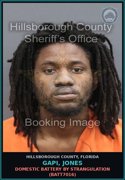 CCW arrest card for GAPI, JONES in Hillsborough County: CRIMINAL MISCHIEF $1,000 OR MORE (CRMS3000)