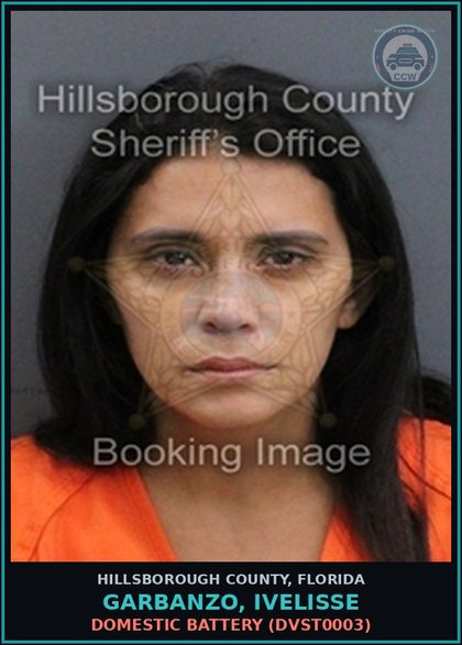 CCW arrest card for GARBANZO, IVELISSE in Hillsborough County: DOMESTIC BATTERY (DVST0003)