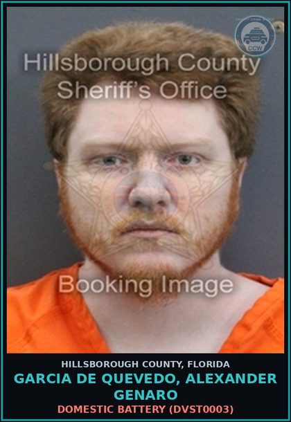CCW arrest card for GARCIA DE QUEVEDO, ALEXANDER GENARO in Hillsborough County: DOMESTIC BATTERY (DVST0003)