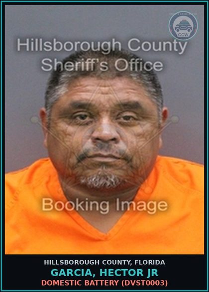 CCW arrest card for GARCIA, HECTOR JR in Hillsborough County: DOMESTIC BATTERY (DVST0003)
