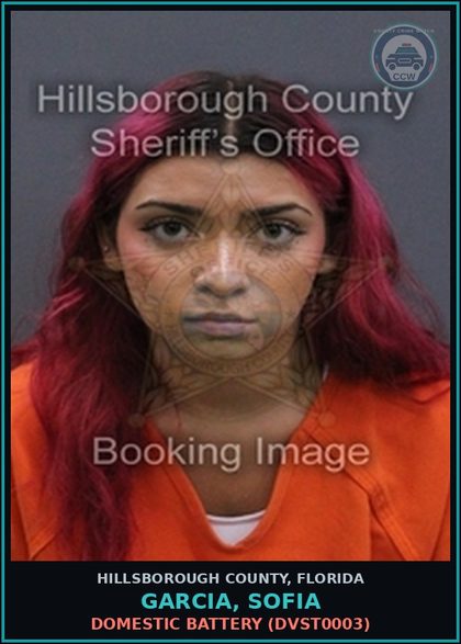 CCW arrest card for GARCIA, SOFIA in Hillsborough County: DOMESTIC BATTERY (DVST0003)