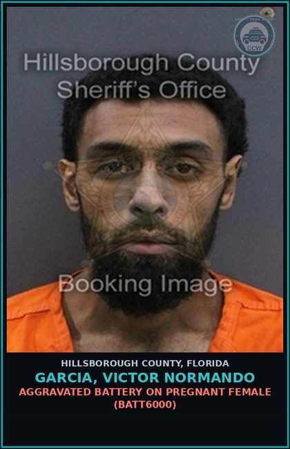 CCW arrest card for GARCIA, VICTOR NORMANDO in Hillsborough County: AGGRAVATED BATTERY ON PREGNANT FEMALE (BATT6000)