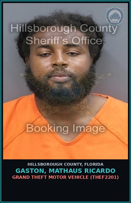 CCW arrest card for GASTON, MATHAUS RICARDO in Hillsborough County: GRAND THEFT MOTOR VEHICLE (THEF2201)