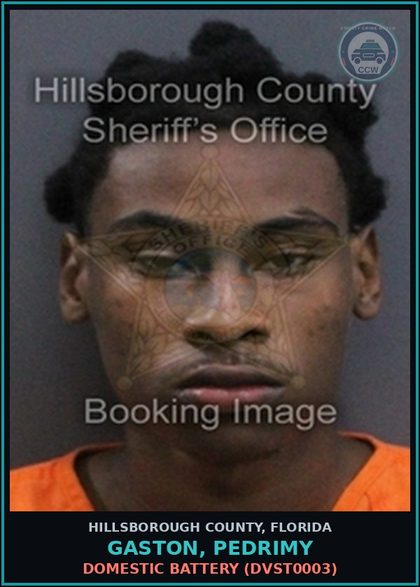 CCW arrest card for GASTON, PEDRIMY in Hillsborough County: DOMESTIC BATTERY (DVST0003)