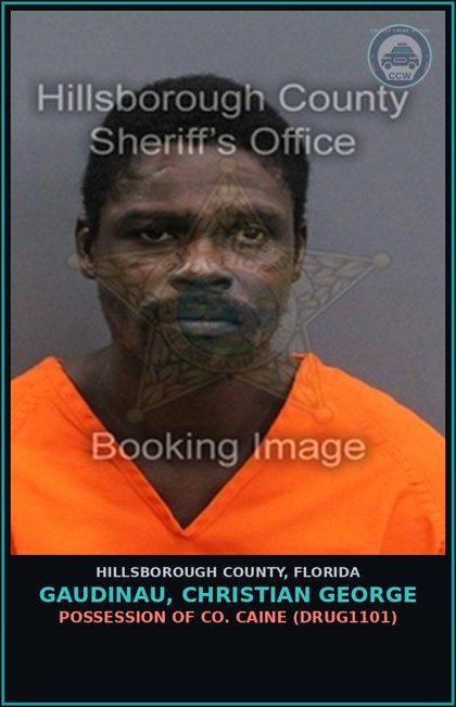 CCW arrest card for GAUDINAU, CHRISTIAN GEORGE in Hillsborough County: POSSESSION OF COCAINE (DRUG1101)
