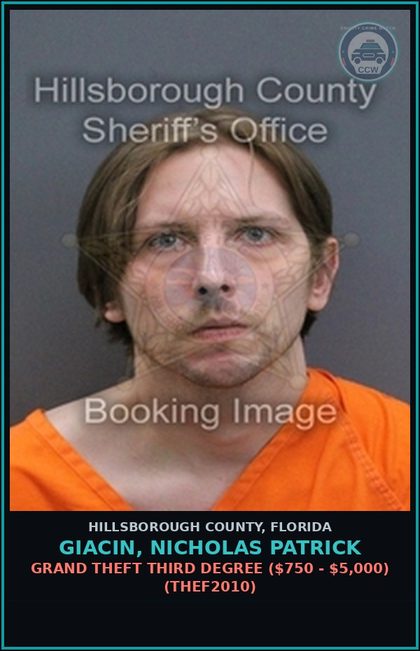 CCW arrest card for GIACIN, NICHOLAS PATRICK in Hillsborough County: GRAND THEFT THIRD DEGREE ($750 - $5,000) (THEF2010)