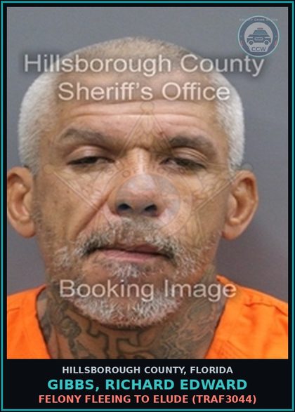 CCW arrest card for GIBBS, RICHARD EDWARD in Hillsborough County: RESISTING OFFICER WITHOUT VIOLENCE (COPS1001)