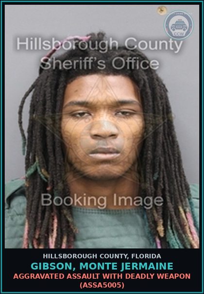 CCW arrest card for GIBSON, MONTE JERMAINE in Hillsborough County: AGGRAVATED ASSAULT WITH DEADLY WEAPON (ASSA5005)