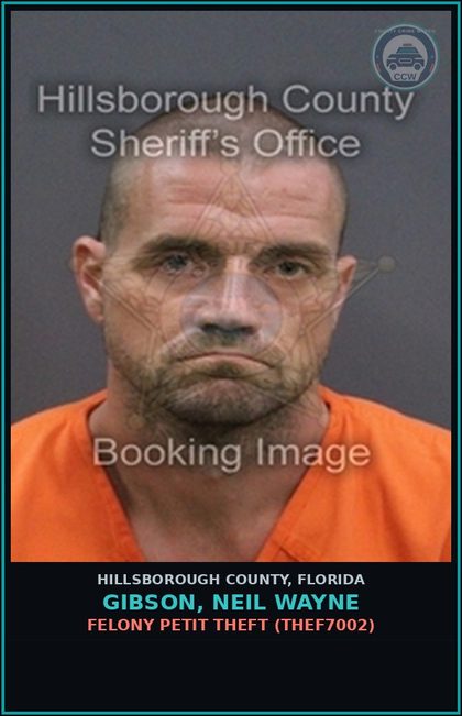 CCW arrest card for GIBSON, NEIL WAYNE in Hillsborough County: FELONY PETIT THEFT (THEF7002)