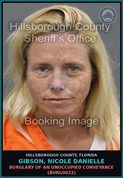 CCW arrest card for GIBSON, NICOLE DANIELLE in Hillsborough County: PETIT THEFT ($100 OR LESS) (THEF1011)