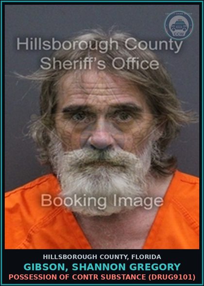 CCW arrest card for GIBSON, SHANNON GREGORY in Hillsborough County: POSSESSION OF contr substance (DRUG9101)
