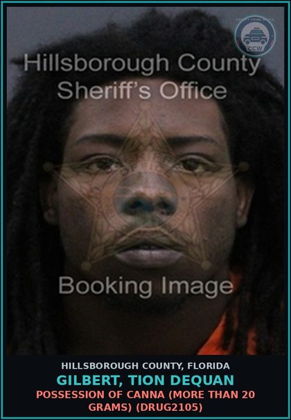 CCW arrest card for GILBERT, TION DEQUAN in Hillsborough County: POSSESSION OF Canna (MORE THAN 20 GRAMS) (DRUG2105)