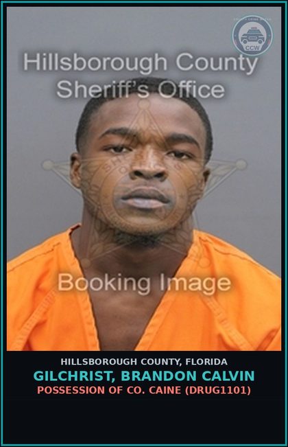 CCW arrest card for GILCHRIST, BRANDON CALVIN in Hillsborough County: POSSESSION OF COCAINE (DRUG1101)