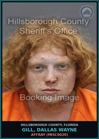 CCW arrest card for GILL, DALLAS WAYNE in Hillsborough County: AFFRAY (MISC0020)