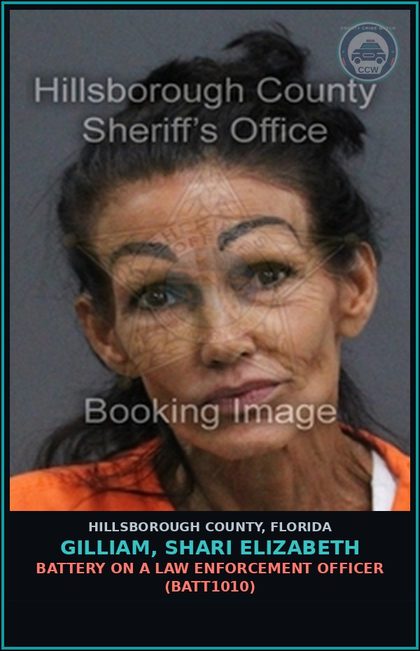 CCW arrest card for GILLIAM, SHARI ELIZABETH in Hillsborough County: RESISTING OFFICER WITH VIOLENCE (COPS2005)
