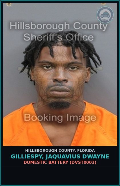 CCW arrest card for GILLIESPY, JAQUAVIUS DWAYNE in Hillsborough County: DOMESTIC BATTERY (DVST0003)
