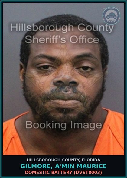 CCW arrest card for GILMORE, A'MIN MAURICE in Hillsborough County: DOMESTIC BATTERY (DVST0003)