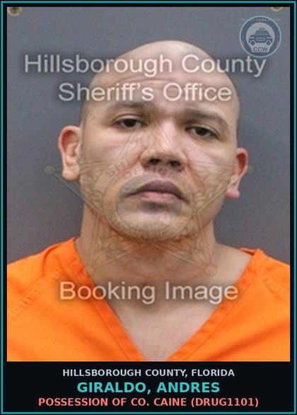 CCW arrest card for GIRALDO, ANDRES in Hillsborough County: OPERATE VEHICLE IN EXCESS OF SPEED LIMIT BY 50 MPH OR MORE (TRAF3134)