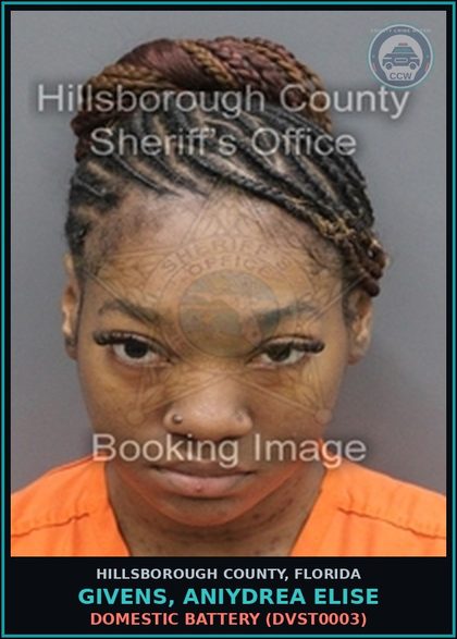 CCW arrest card for GIVENS, ANIYDREA ELISE in Hillsborough County: DOMESTIC BATTERY (DVST0003)