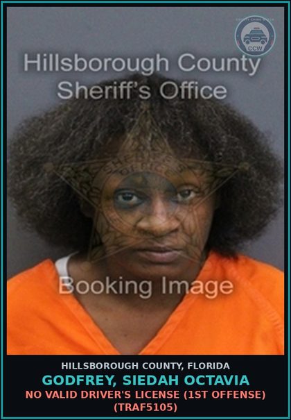 CCW arrest card for GODFREY, SIEDAH OCTAVIA in Hillsborough County: NO VALID DRIVER'S LICENSE (1ST OFFENSE) (TRAF5105)
