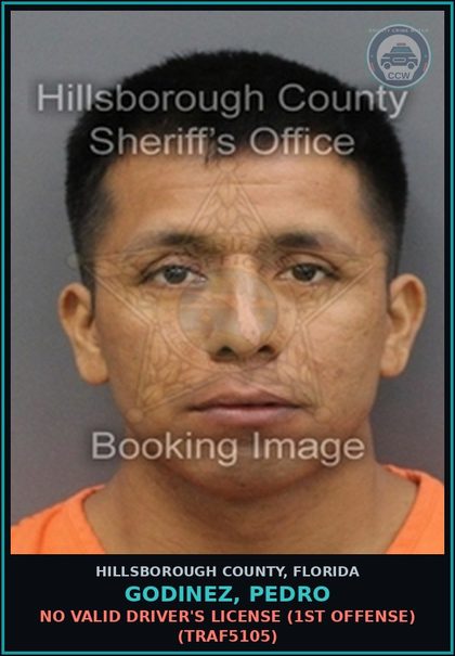 CCW arrest card for GODINEZ, PEDRO in Hillsborough County: NO VALID DRIVER'S LICENSE (1ST OFFENSE) (TRAF5105)