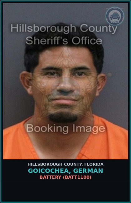 CCW arrest card for GOICOCHEA, GERMAN in Hillsborough County: BATTERY (BATT1100)