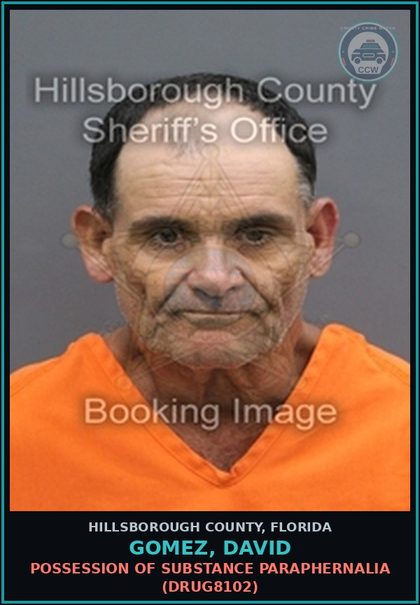 CCW arrest card for GOMEZ, DAVID in Hillsborough County: POSSESSION OF DRUG PARAPHERNALIA (DRUG8102)