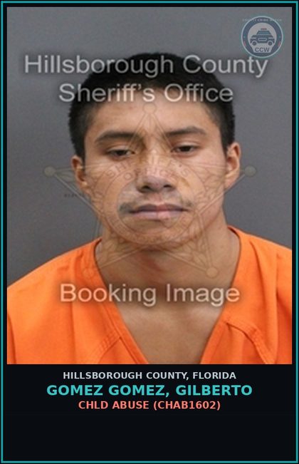 CCW arrest card for GOMEZ GOMEZ, GILBERTO in Hillsborough County: DOMESTIC BATTERY (DVST0003)