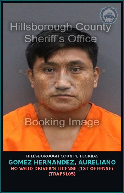 CCW arrest card for GOMEZ HERNANDEZ, AURELIANO in Hillsborough County: NO VALID DRIVER'S LICENSE (1ST OFFENSE) (TRAF5105)