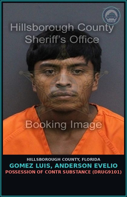 CCW arrest card for GOMEZ LUIS, ANDERSON EVELIO in Hillsborough County: POSSESSION OF contr substance (DRUG9101)