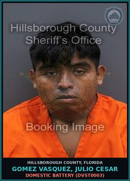 CCW arrest card for GOMEZ VASQUEZ, JULIO CESAR in Hillsborough County: DOMESTIC BATTERY (DVST0003)