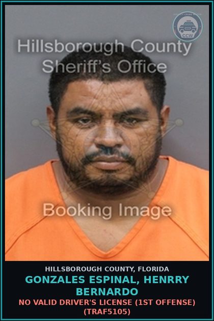CCW arrest card for GONZALES ESPINAL, HENRRY BERNARDO in Hillsborough County: NO VALID DRIVER'S LICENSE (1ST OFFENSE) (TRAF5105)