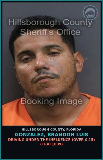 CCW arrest card for GONZALEZ, BRANDON LUIS in Hillsborough County: DRIVING UNDER THE INFLUENCE (OVER 0.15) (TRAF1009)